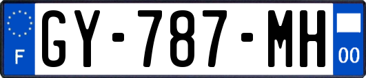 GY-787-MH