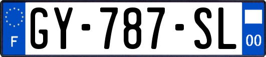 GY-787-SL