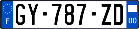 GY-787-ZD