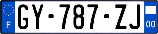 GY-787-ZJ