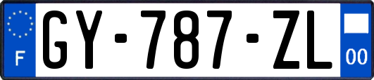 GY-787-ZL