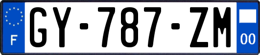 GY-787-ZM