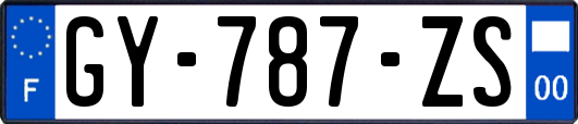 GY-787-ZS