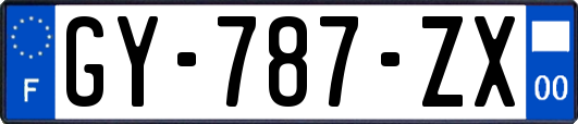 GY-787-ZX