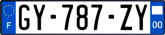 GY-787-ZY