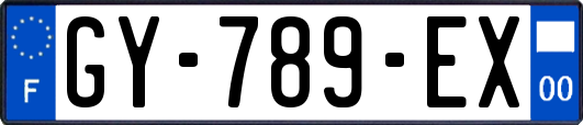 GY-789-EX