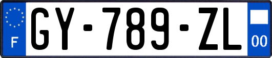 GY-789-ZL