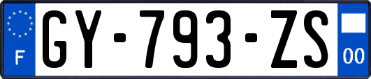 GY-793-ZS