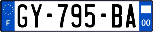 GY-795-BA