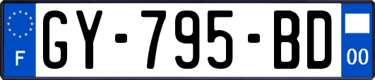 GY-795-BD