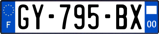 GY-795-BX