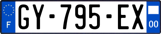 GY-795-EX