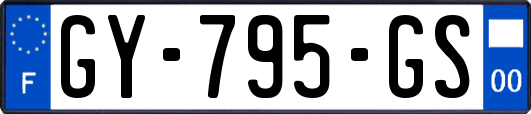 GY-795-GS