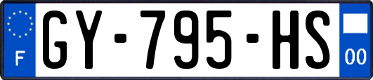 GY-795-HS