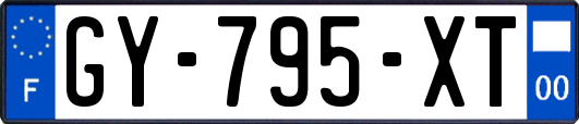 GY-795-XT