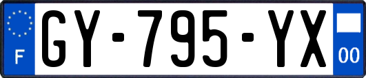 GY-795-YX