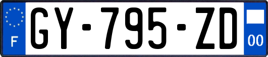 GY-795-ZD