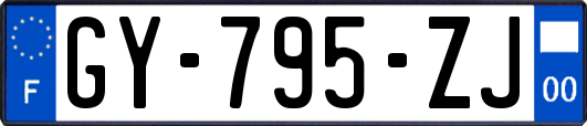 GY-795-ZJ