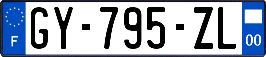 GY-795-ZL