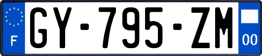 GY-795-ZM