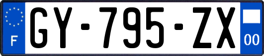GY-795-ZX
