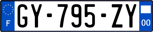GY-795-ZY