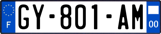 GY-801-AM