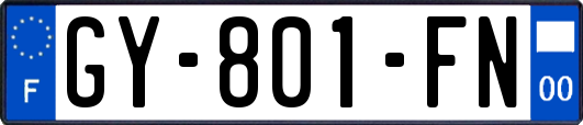 GY-801-FN