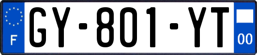 GY-801-YT