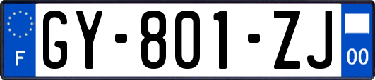 GY-801-ZJ