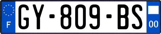 GY-809-BS
