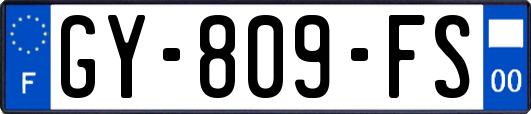 GY-809-FS