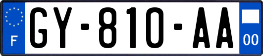 GY-810-AA