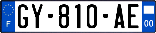 GY-810-AE