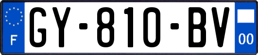 GY-810-BV