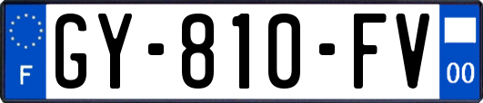 GY-810-FV