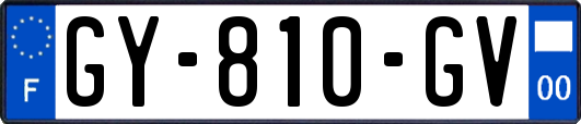 GY-810-GV