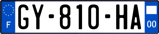 GY-810-HA