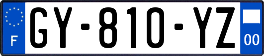 GY-810-YZ