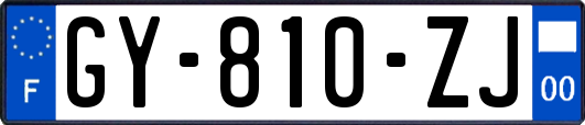GY-810-ZJ
