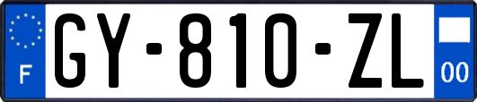 GY-810-ZL