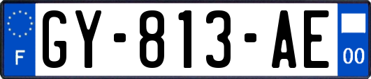 GY-813-AE