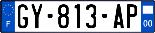 GY-813-AP