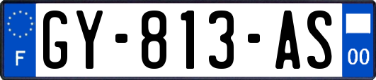 GY-813-AS