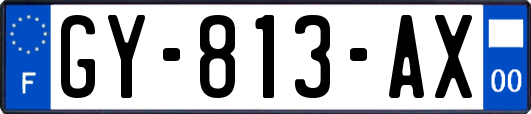 GY-813-AX