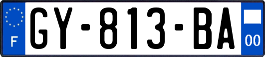 GY-813-BA