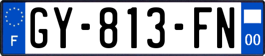 GY-813-FN