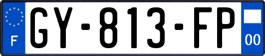 GY-813-FP