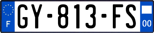 GY-813-FS