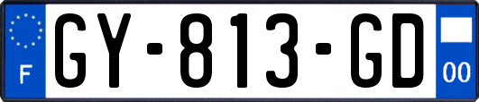 GY-813-GD